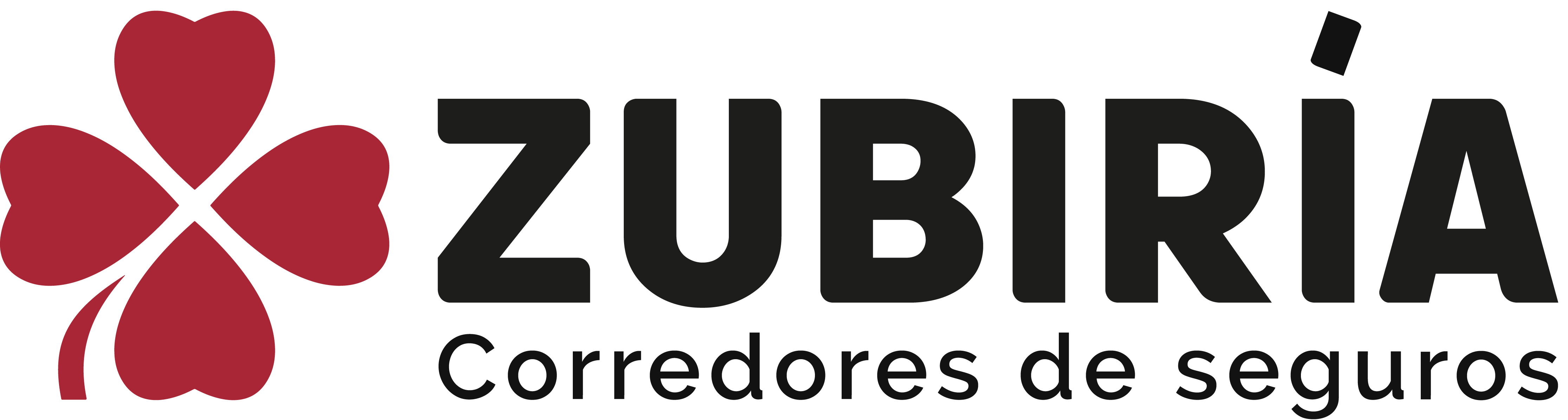 ZUBIRIA CORREDORES DE SEGUROS